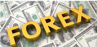 Akademia forex pulsu biznesu